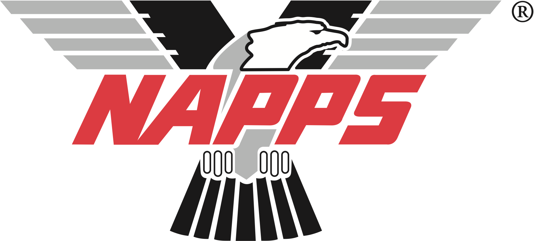 NAPPS Member — National Association of Professional Process Servers
