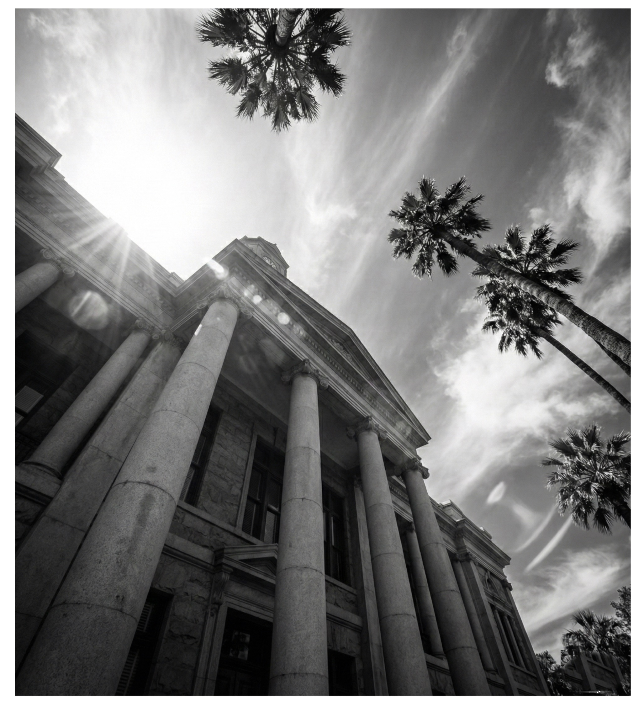 Los Angeles courthouse with palm trees